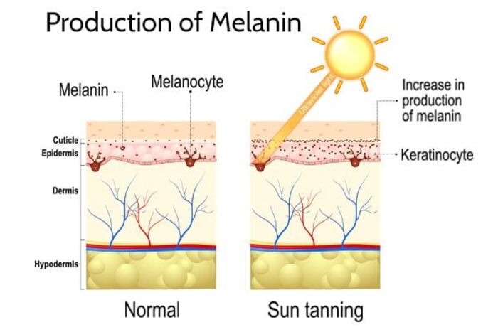 5 cách tự nhiên giúp chậm phát triển tóc bạc