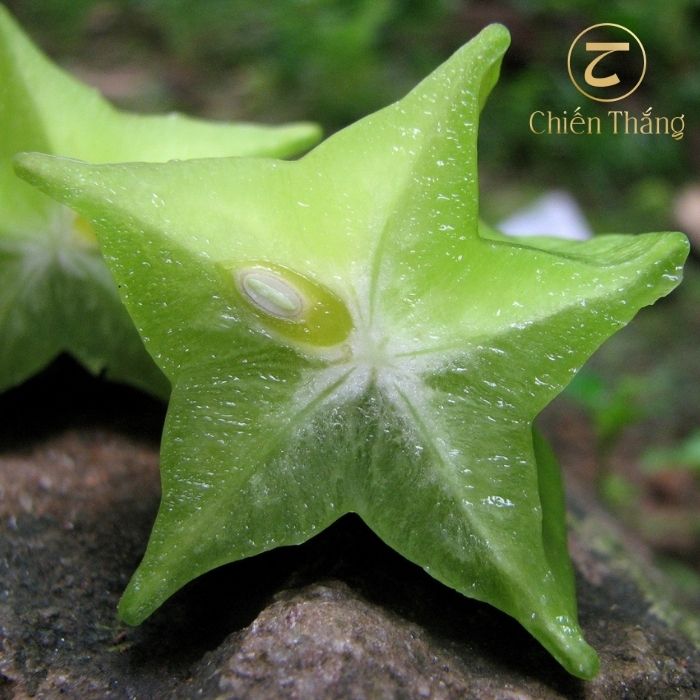 cách trị tóc bạc bằng khế chua