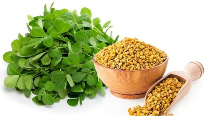 chữa tóc bạc sớm bằng dầu dừa hạt cả ri