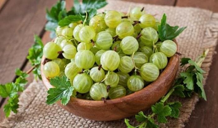 chữa tóc bạc sớm bằng dầu dừa quả lý gai alma