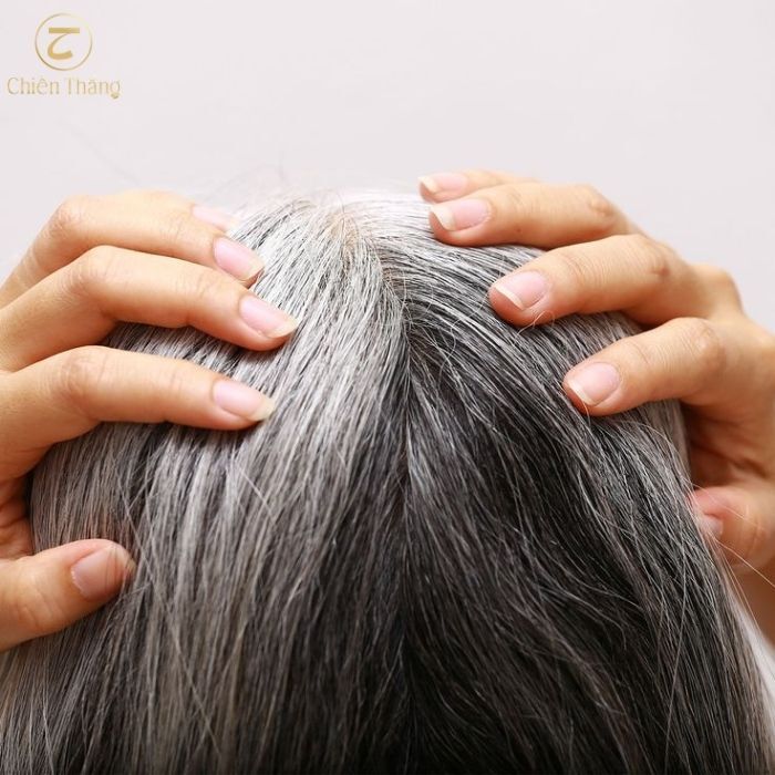 có nên nhổ tóc bạc không đây là điều bạn cần biết
