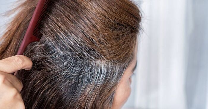 gợi ý các cách sử dụng cỏ mần trầu trị tóc bạc sớm