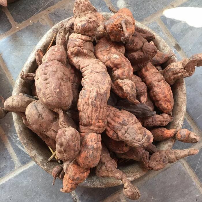 hà thủ ô trị tóc bạc