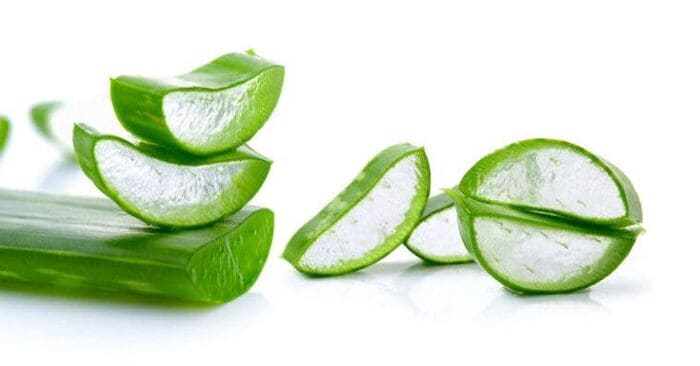 trị gàu bằng nước cốt chanh với nha đam