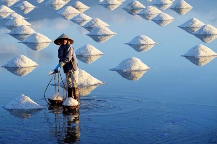 trị gàu nấm da đầu bằng muối biển