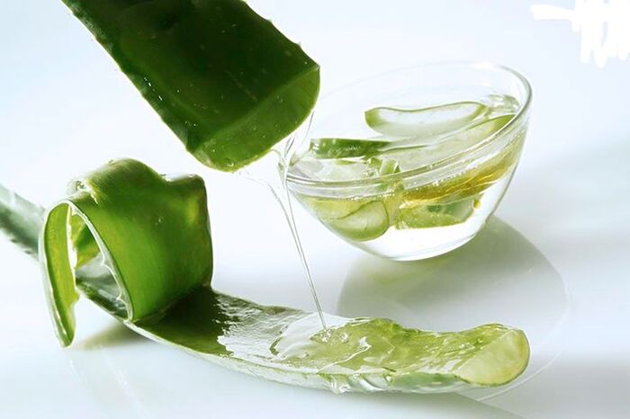 trị gàu nấm da đầu bằng nha đam