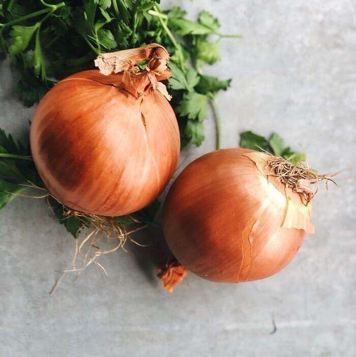 cách gội đầu bằng dầu dừa trị gàu với hành tây