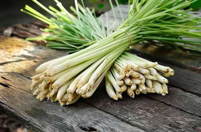 cách nấu bồ kết trị gàu cùng sả với chanh
