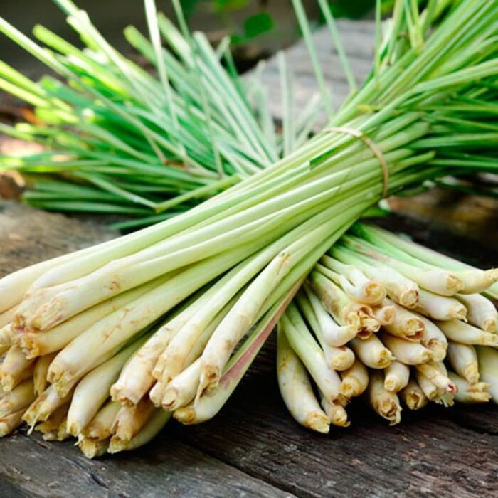 cách nấu nước gội đầu bằng vỏ bưởi trị gàu kết hợp với sả