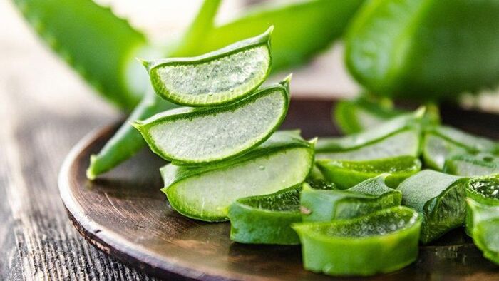 cách phục hồi tóc khô xơ nhanh nhất bằng lô hội