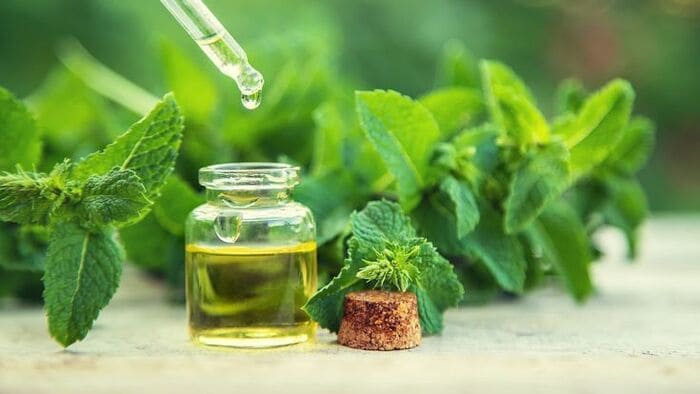cách trị gàu bằng giấm táo với tinh đầu bạc hà