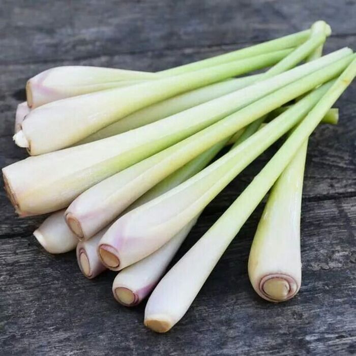 cách trị gàu bằng sả nguyên chất