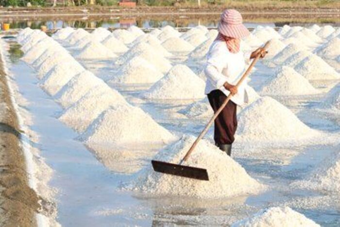 cách trị gàu cho nữ bằng muối biển