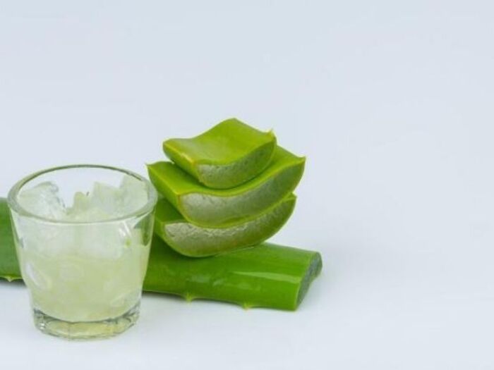 cách trị gàu cho nữ bằng nha đam lô hội