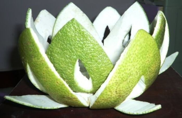 công dụng của vỏ bưởi trị gàu đối với tóc