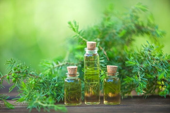 dầu tràm trà trị ngứa da đầu và gàu