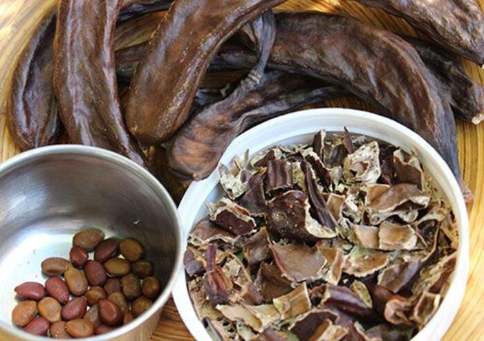 hướng dẫn cách nấu bồ kết trị gàu nhanh chóng tại nhà