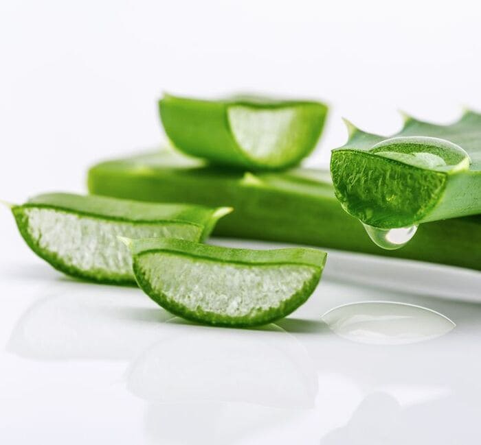 nha đam nguyên chất trị gàu