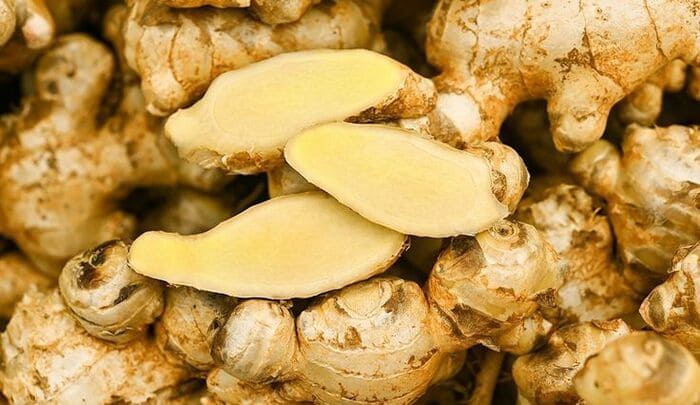 nha đam trị gàu gừng