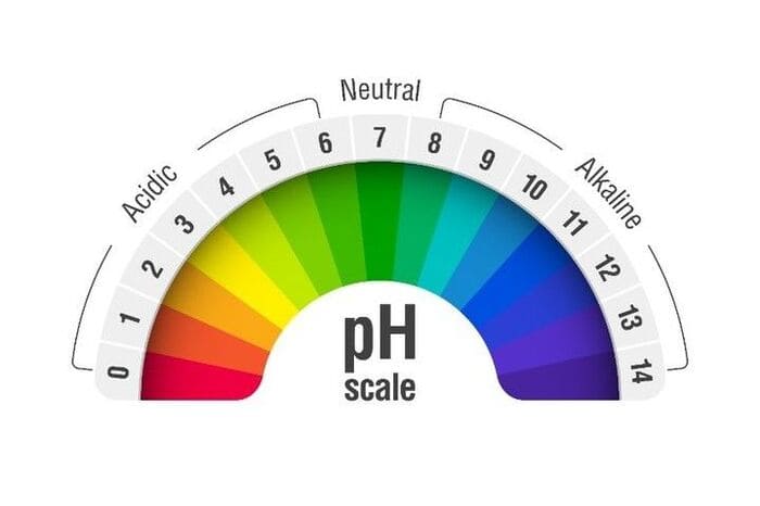 trị gàu bằng dung dịch vệ sinh phụ nữ 3