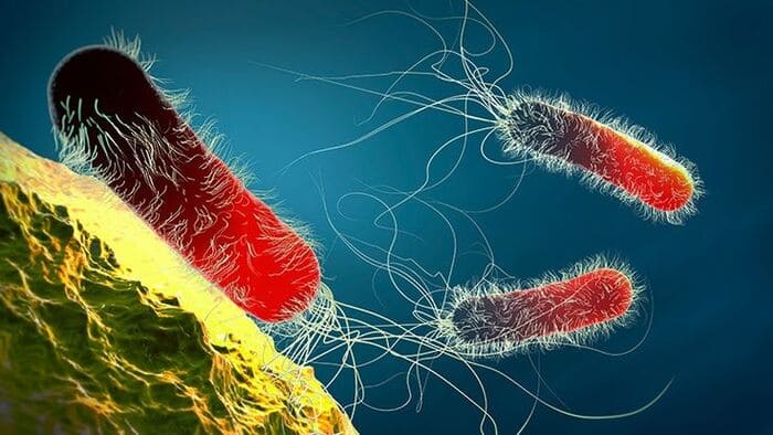trị gàu bằng dung dịch vệ sinh phụ nữ 4