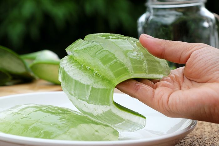 trị gàu mùa đông bằng nha đam