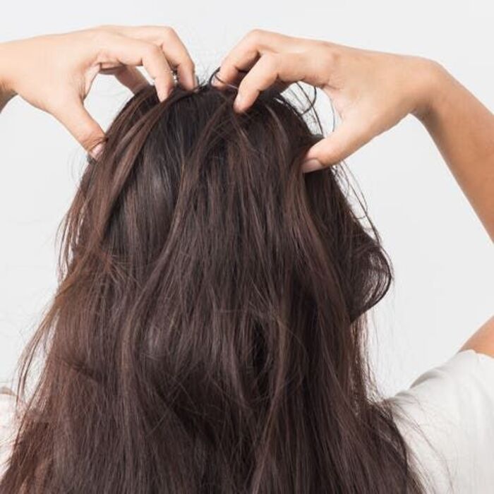 cấu trúc sợi tóc mang tên biểu bì mùa đông tóc khô xơ